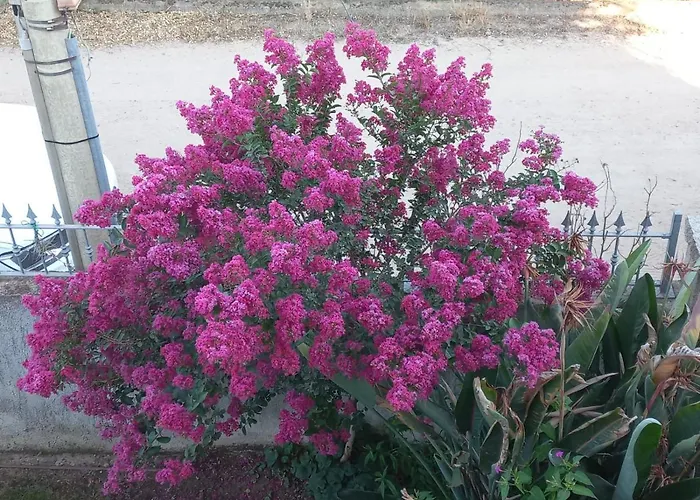 La Casa Di Nonna Romina * Arzachena